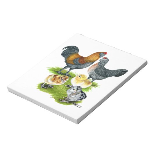 Ameraucana-Hühnerfamilie Notizblock (Rotiert)