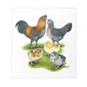 Ameraucana-Hühnerfamilie Notizblock (Vorderseite)