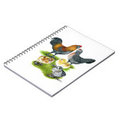 Ameraucana-Hühnerfamilie Notizblock (Linke Seite)