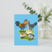 Ameraucana-Hühnerfamilie Postkarte (Stehend Vorderseite)
