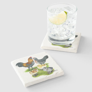 Ameraucana-Hühnerfamilie Steinuntersetzer