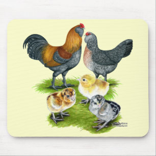 Ameraucana-Hühnersippe Mousepad