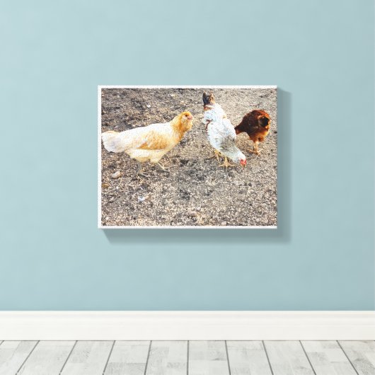 Ameraucanas Leinwanddruck (Insitu (Holzboden))