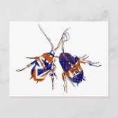 Ameri-Brit-Kakerlaken Postkarte (Vorderseite)