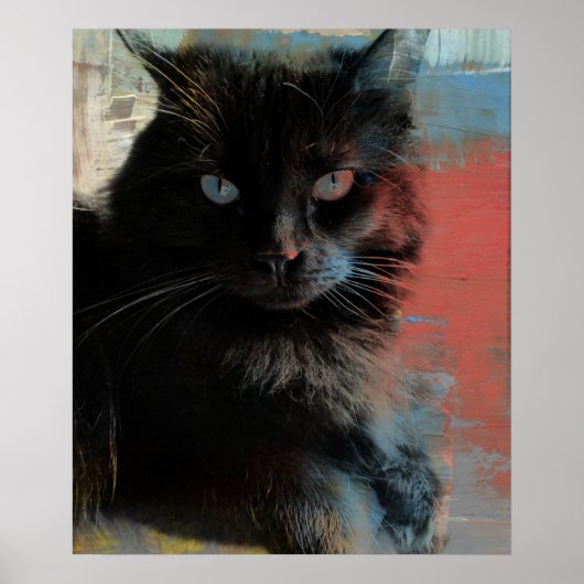Ameriana Black Cat, Folk Art Poster (Vorne)