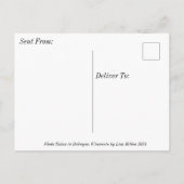 America Bald Eagle Dubuque Iowa Keepake Postkarte (Rückseite)