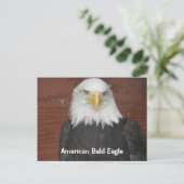 America Bald Eagle Dubuque Iowa Keepake Postkarte (Stehend Vorderseite)