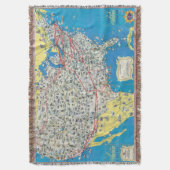 American Airlines-Systemskarte Decke (Vorderseite Vertikal)