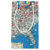 American Airlines-Systemskarte Kleine Geschenktüte (Vorderseite)