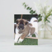 American Akita Puppy Dog Postkarte (Stehend Vorderseite)