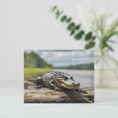 American Alligator an Land bei Vollmond Postkarte (Stehend Vorderseite)