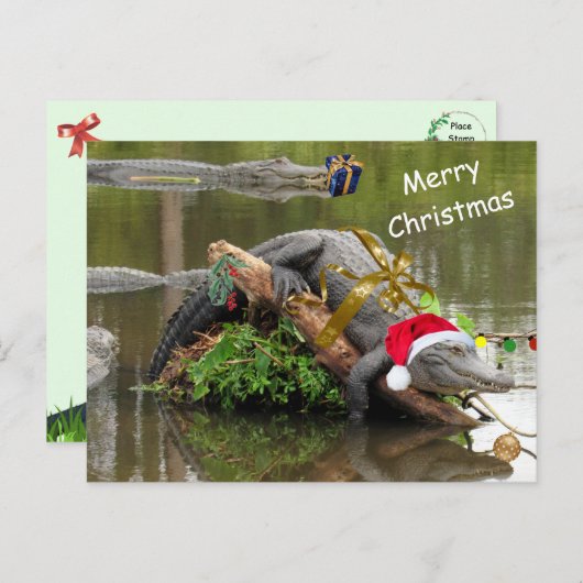 American Alligator Christmas Postcard Postkarte (Vorne/Hinten)
