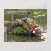 American Alligator Christmas Postcard Postkarte (Vorderseite)