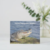 American Alligator Florida Everglades Wildlife Postkarte (Stehend Vorderseite)