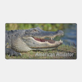 American Alligator Fotografic Wildlife Schreibtischunterlage (Vorderseite)