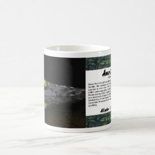 American Alligator Kaffeetasse