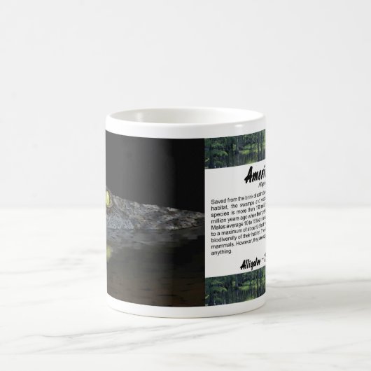 American Alligator Kaffeetasse (Mittel)