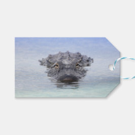 American Alligator – Lake Apopka Wildlife Drive Geschenkanhänger