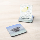 American Alligator – Lake Apopka Wildlife Drive Getränkeuntersetzer (Rechte Seite)