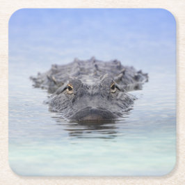 American Alligator – Lake Apopka Wildlife Drive Rechteckiger Pappuntersetzer