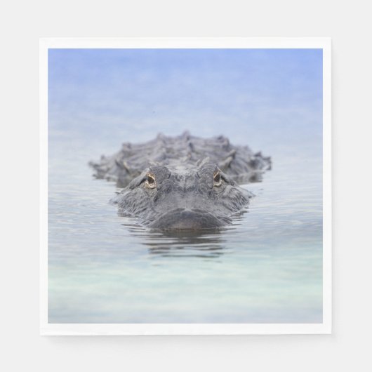 American Alligator – Lake Apopka Wildlife Drive Serviette (Vorderseite)