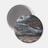 American Alligator Magnet (Vorderseite/Rückseite)