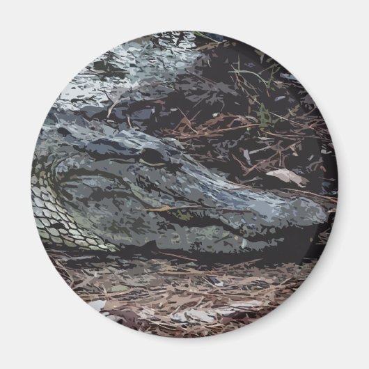 American Alligator Magnet (Vorne)