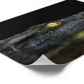 American Alligator Poster (Ecke)