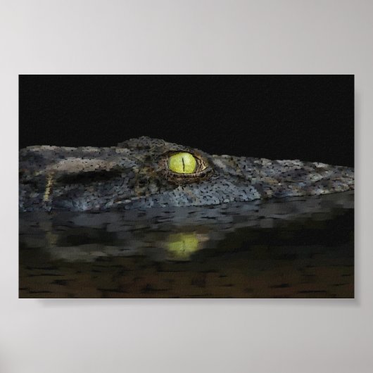 American Alligator Poster (Vorne)