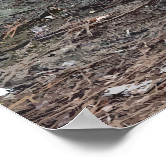 American Alligator Poster (Ecke)