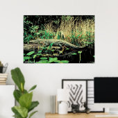 American Alligator Poster (Heimbüro)