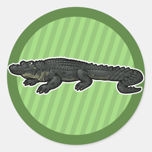 American Alligator Runder Aufkleber (Vorderseite)