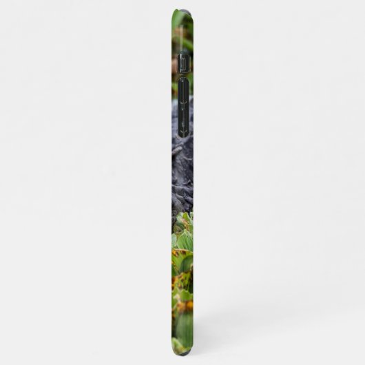 American Alligator unter den Pflanze - Lebhaft iPhone Hülle (Linke Seite)