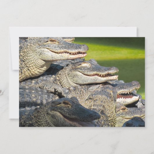 American Alligators Flat Grußkarte Karte (Vorderseite)