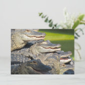 American Alligators Flat Grußkarte Karte (Stehend Vorderseite)
