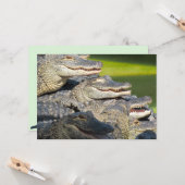 American Alligators Flat Grußkarte Karte (Vorderseite/Rückseite Beispiel)