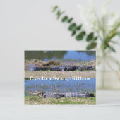 American Alligators Postcard Postkarte (Stehend Vorderseite)