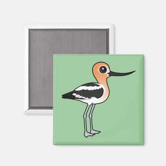American Avocet Magnet (Vorderseite/Rückseite)