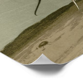 American Avocet Poster (Ecke)
