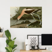 American Avocet Poster (Heimbüro)