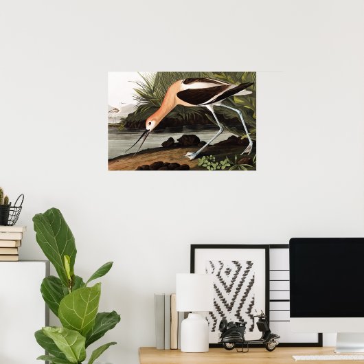 American Avocet Poster (Heimbüro)