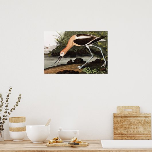 American Avocet Poster (Küche)