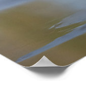 American Avocet stehend im Wasser Poster (Ecke)