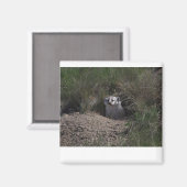 American Badge Magnet (Vorderseite/Rückseite)