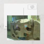 American Badger DOES Care Postkarte (Vorne/Hinten)