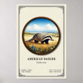 American Badger Zoology Series Poster (Vorne)
