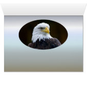 American Bald Eagle (Innenansicht Horizontal (Unten))