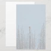 American Bald Eagle 8974 Briefpapier (Vorne/Hinten)