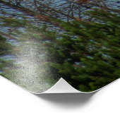 American Bald Eagle 8974 Fotodruck (Ecke)