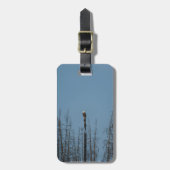 American Bald Eagle 8974 Gepäckanhänger (Vorderseite vertikal)